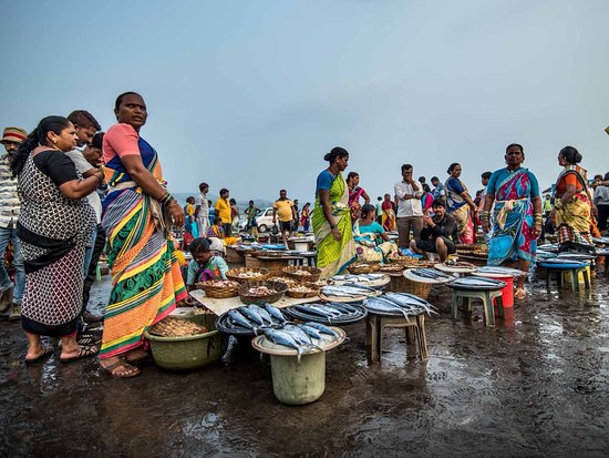 Harnai fish market