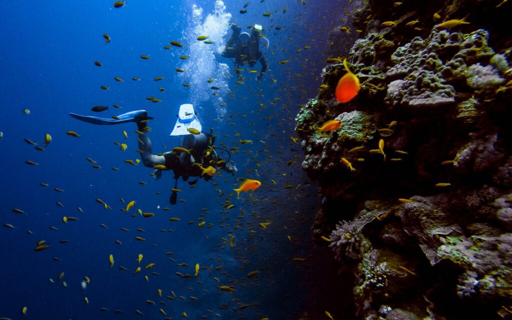 Scuba Diving In Dapoli
